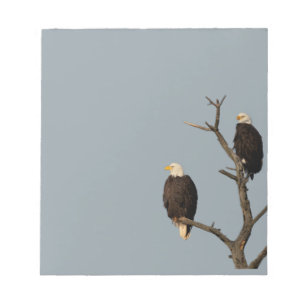 Silent Wonders-laptop Bald Eagles Notitieblok