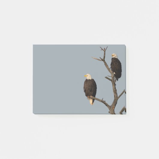 Silent Wonders Post It Notes Eagles (Voorkant)