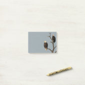 Silent Wonders Post It Notes Eagles (Op bureau)