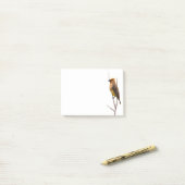 Silent Wonders Post merkt Cedar Waxwing op Post-it® Notes (Op bureau)