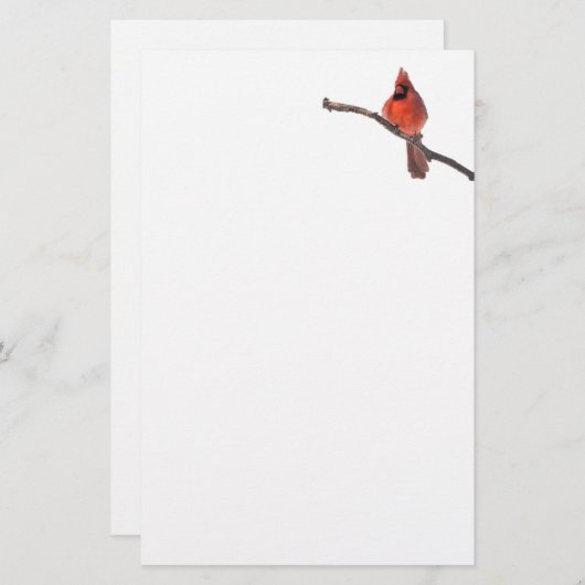 Silent wondert briefpapier kardinaal (Voorkant / Achterkant)