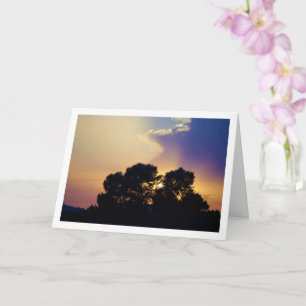 Silhouet Boom Landschap Kaart