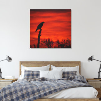 Silhouet van een havik bij zonsondergang canvas afdruk