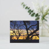 Silhouette Arbres Skyscapes Carte postale (Debout devant)