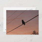 Silhouette Beauty Briefkaart (Voorkant / Achterkant)