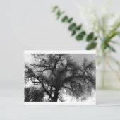 Silhouette Briefkaart (Staand voorkant)