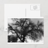 Silhouette Briefkaart (Voorkant / Achterkant)