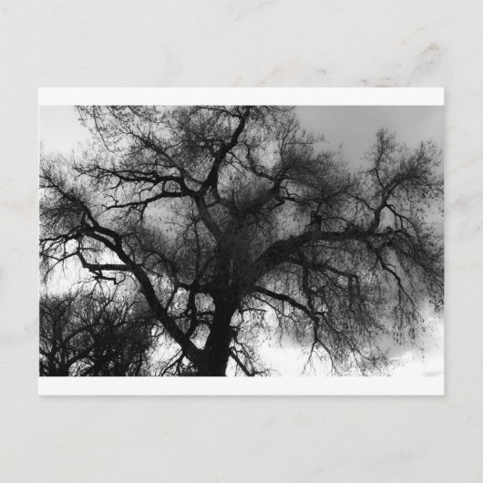 Silhouette Briefkaart (Voorkant)
