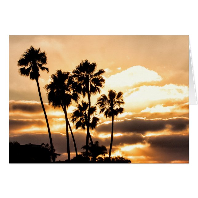 Silhouette Coucher De Soleil À San Diego (Devant horizontal)