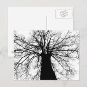 Silhouette d'arbre noir et blanc - Carte postale (Devant / Derrière)