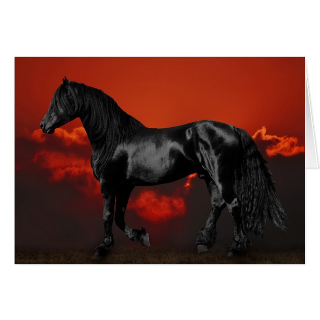 Silhouette de cheval au coucher du soleil (Devant horizontal)