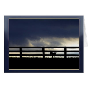 Silhouette de la ferme Stallion