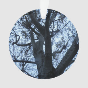 Silhouette de l'arbre photo ornement acrylique