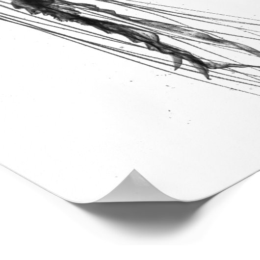 Silhouette de méduse | Poster (Coin)