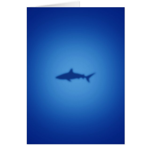 Silhouette de requin (Devant)