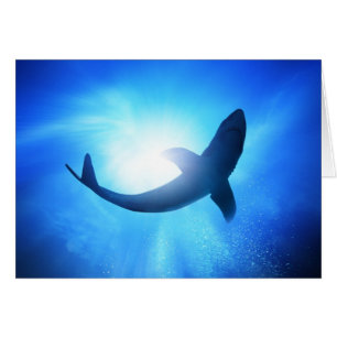 Silhouette de requin de l'océan profond
