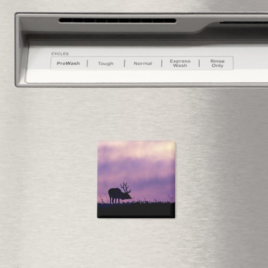 Silhouette d'Elk au aimant du coucher du soleil (In Situ (Lave-vaisselle))