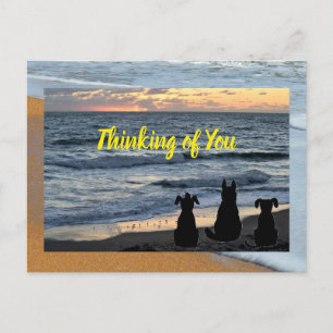 Silhouette du chien à la carte postale surf de l'o