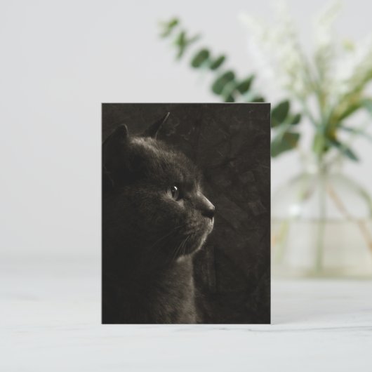 Silhouette Feline - Carte postale (Debout devant)