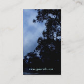 Silhouette forestière dans le Carte de visite de b (Dos)