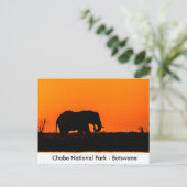 Silhouette of an Elephant Bull at at Sunset Briefkaart (Staand voorkant)