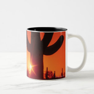Silhouette of cactus at dusk , Saguaro National Tweekleurige Koffiemok