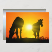 Silhouette of Two Horses at Sunset (Voorkant / Achterkant)
