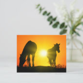 Silhouette of Two Horses at Sunset Briefkaart (Staand voorkant)