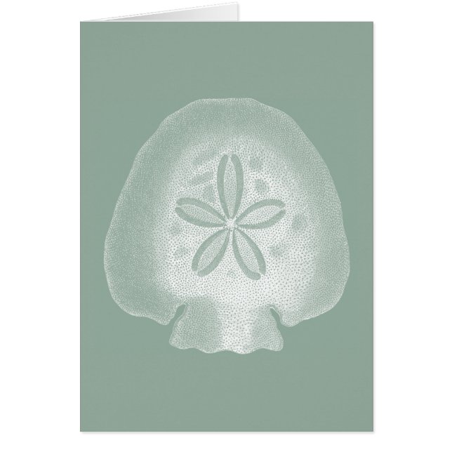 Silhouette Sand Dollar (Voorkant)