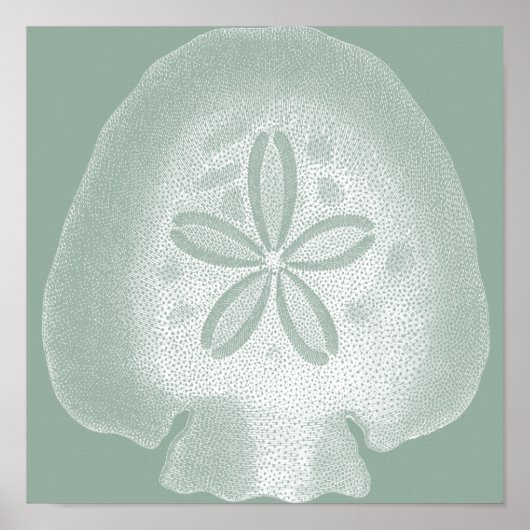Silhouette Sand Dollar Poster (Voorkant)