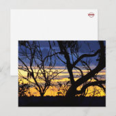 Silhouette Trees Skyscapes Briefkaart (Voorkant / Achterkant)