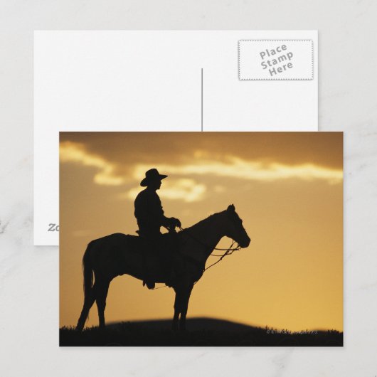 Silhouette van cowboy op horseback bij zonsonderga briefkaart (Voorkant / Achterkant)