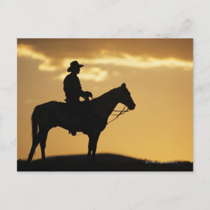 Silhouette van cowboy op horseback bij zonsonderga briefkaart