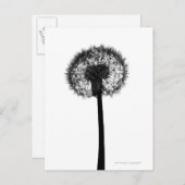 Silhouette van dandelion briefkaart (Voorkant / Achterkant)