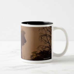 Silhouette van een leeuw tweekleurige koffiemok
