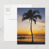 Silhouette van een palmboom met een Rode Oranje zo Briefkaart (Voorkant / Achterkant)