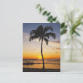 Silhouette van een palmboom met een Rode Oranje zo Briefkaart (Staand voorkant)