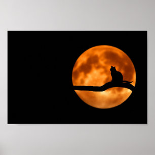 Silhouette van een zwarte kat in een boom poster