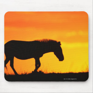 Silhouette van zebra op savanna muismat