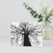 Silhouette (zwart-witboom) - Briefkaart (Staand voorkant)