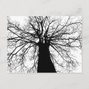 Silhouette (zwart-witboom) - Briefkaart