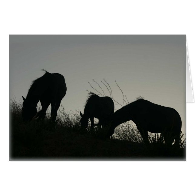 Silhouettes de cheval sauvage (Devant horizontal)