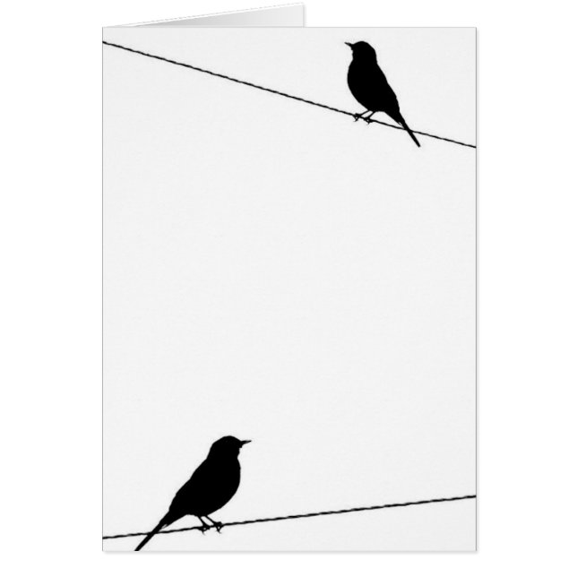 Silhouettes d'oiseau sur le fil (Devant)