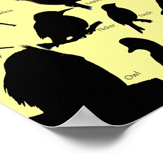 Silhouettes d'oiseaux (16) Poster (Coin)