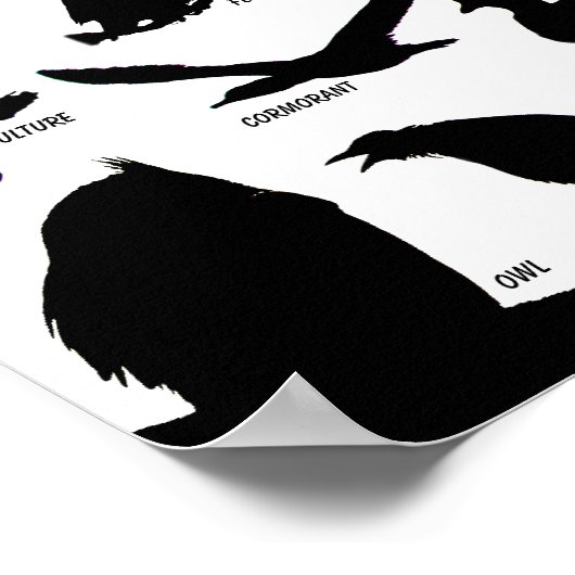 Silhouettes d'oiseaux (29) Poster (Coin)