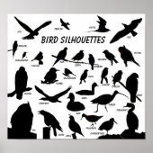 Silhouettes d'oiseaux (29) Poster (Devant)