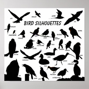 Silhouettes d'oiseaux (29) Poster