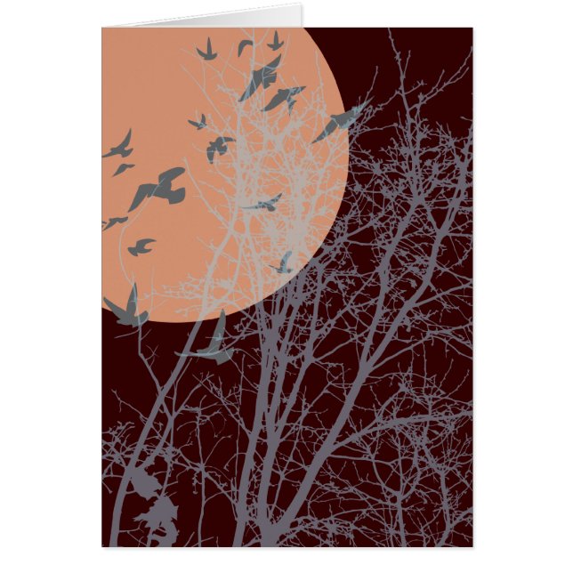 silhouetvogels (Voorkant)