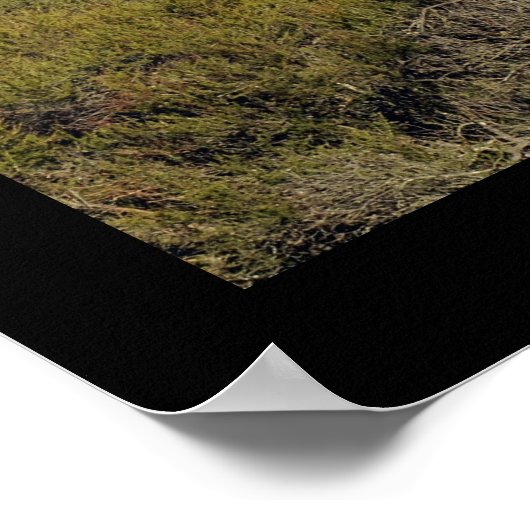 Silicium Valley Panoramisch Uitzicht Afdrukken Poster (Hoek)