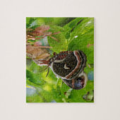 Silk Moth Legpuzzel (Verticaal)